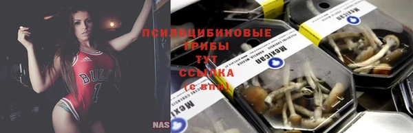 марихуана Нефтекумск