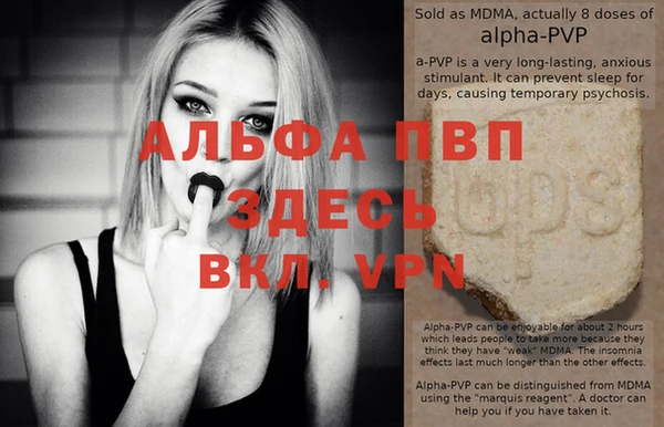 PSILOCYBIN Валуйки