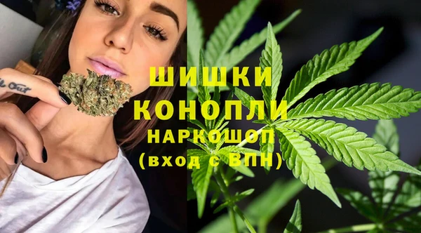 бошки Нефтегорск