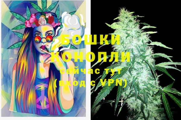 ECSTASY Нея