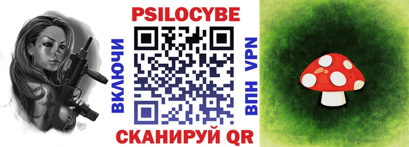 Галлюциногенные грибы Psilocybe купить закладку Уфа