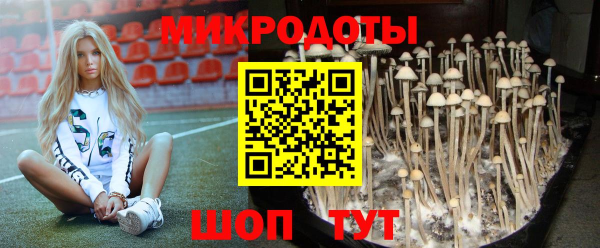 купить наркоту  Уфа  Галлюциногенные грибы MAGIC MUSHROOMS 